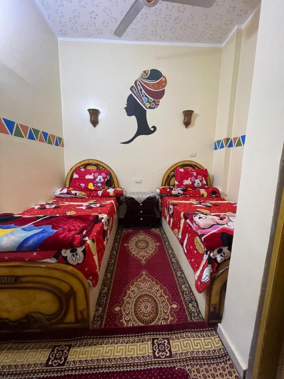 אסואן Shater Nubian House מראה חיצוני תמונה