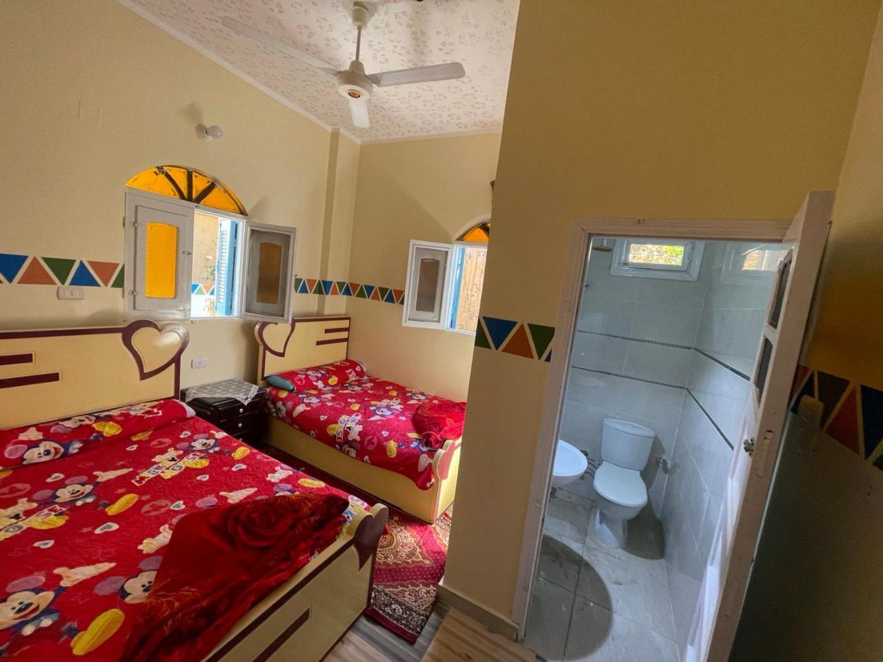 אסואן Shater Nubian House מראה חיצוני תמונה