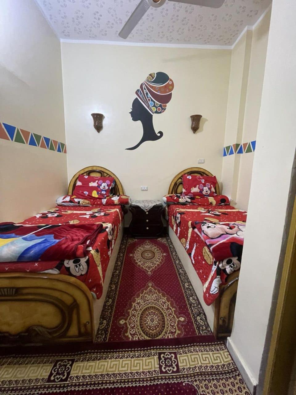 אסואן Shater Nubian House מראה חיצוני תמונה