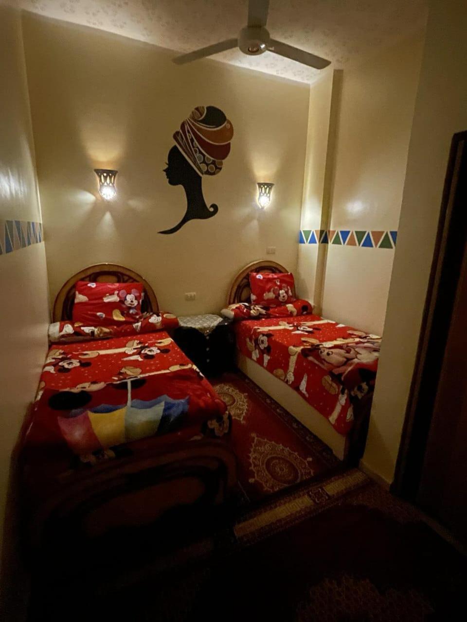 אסואן Shater Nubian House מראה חיצוני תמונה