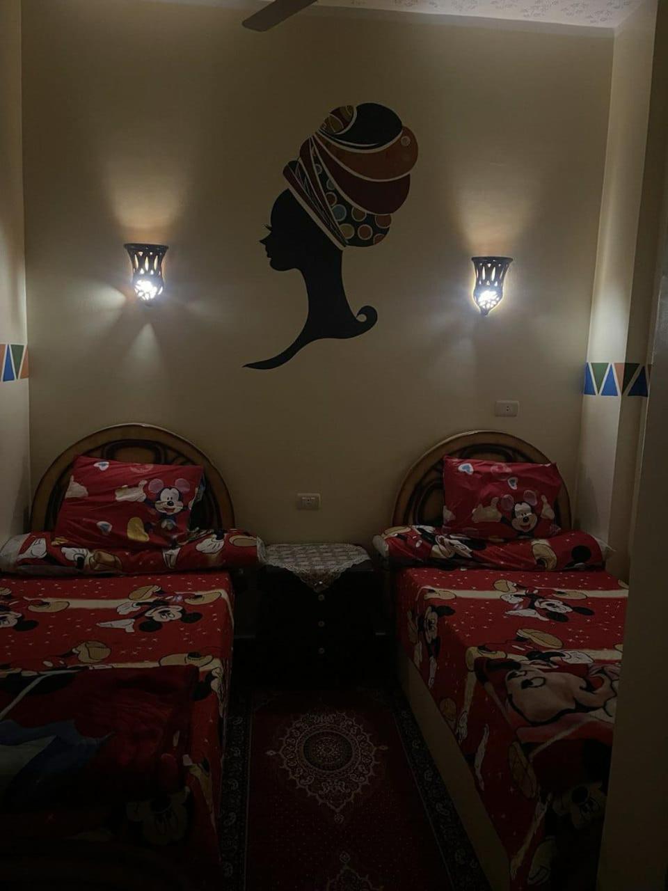 אסואן Shater Nubian House מראה חיצוני תמונה