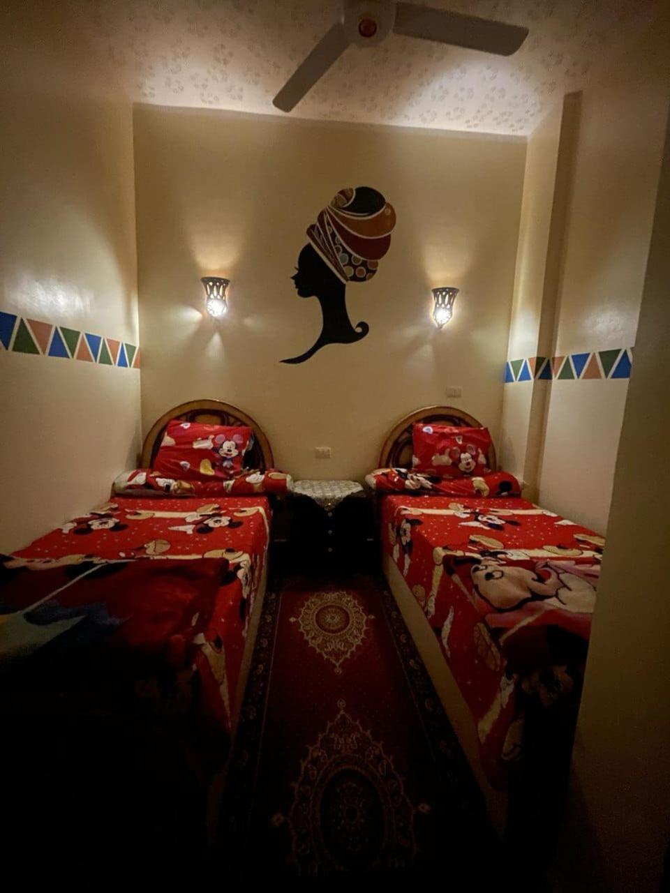 אסואן Shater Nubian House מראה חיצוני תמונה