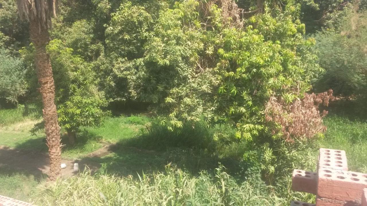 אסואן Shater Nubian House מראה חיצוני תמונה