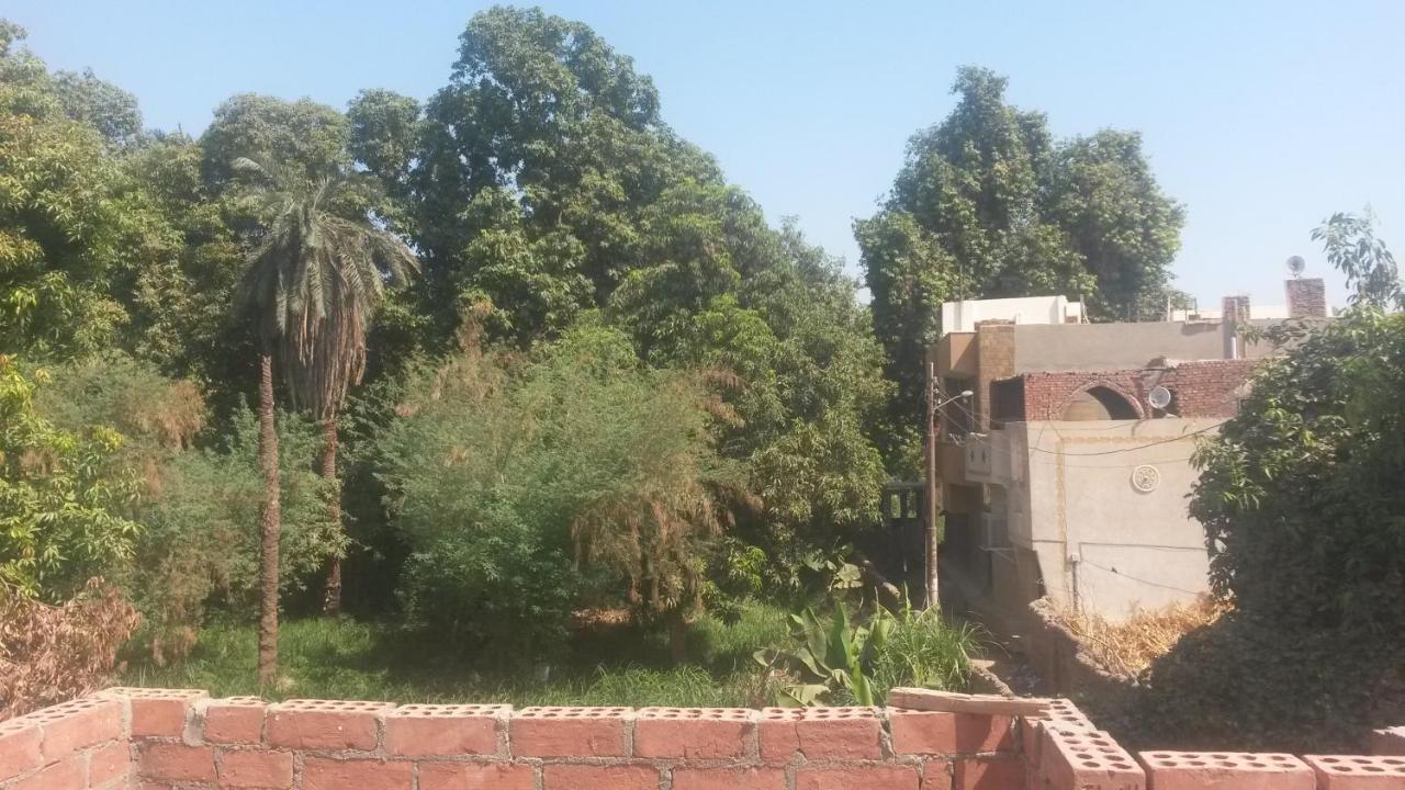 אסואן Shater Nubian House מראה חיצוני תמונה